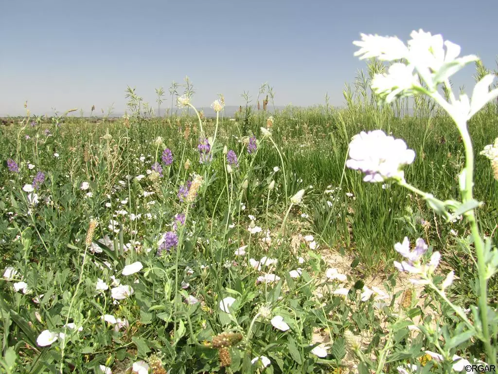 Penrose, CO 81240,71 Top Rail  TRL