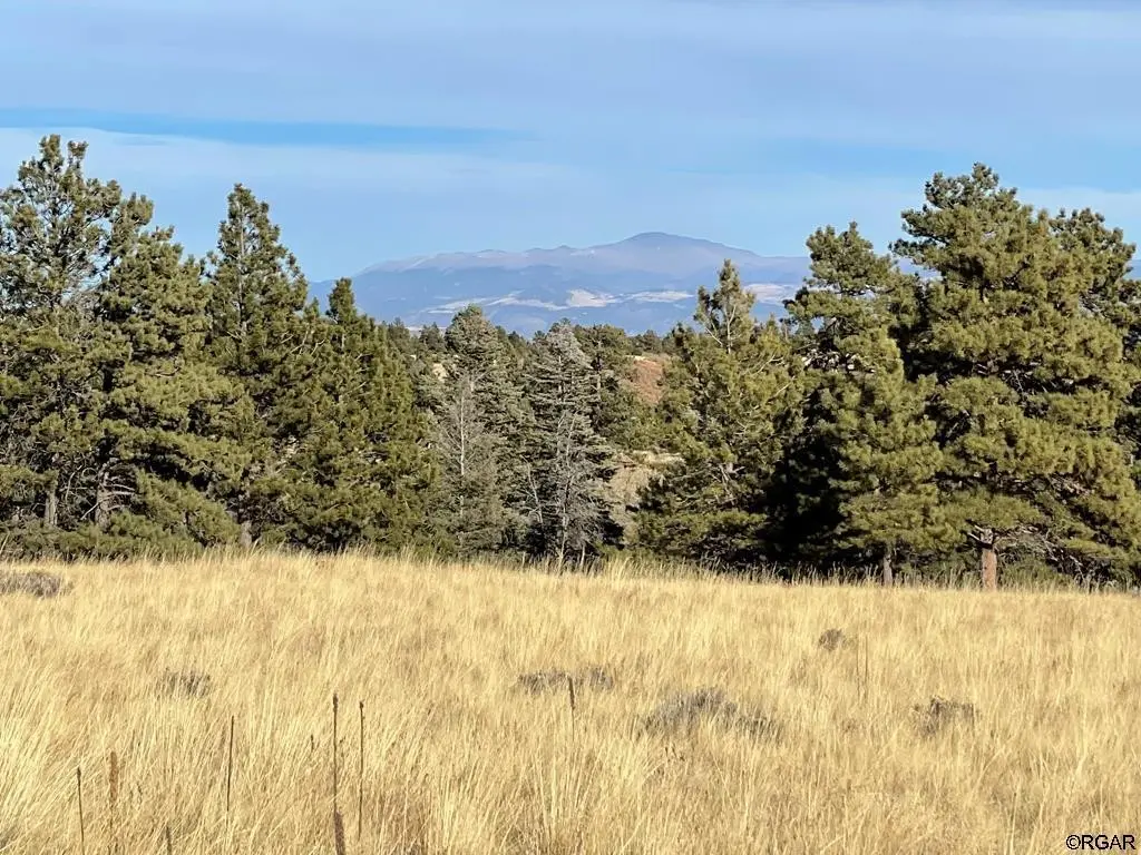 TBD L21 South T-Bar  TRL, Canon City, CO 81212