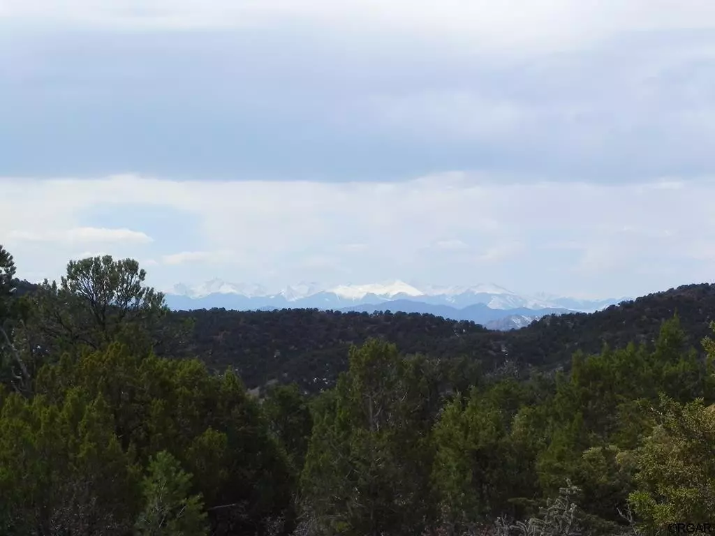 Penrose, CO 81240,TBD L1 L2 Wild Lyn  RD