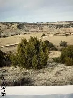 Penrose, CO 81240,475 P  ST