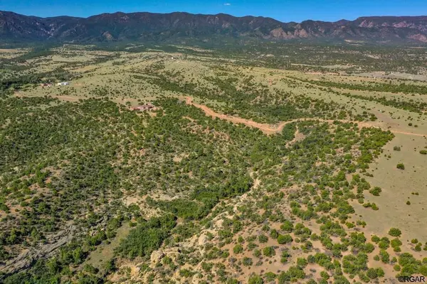 TBD L4 Newlin Ridge  RD, Florence, CO 81226