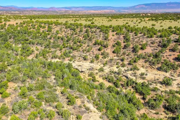 TBD L4 Newlin Ridge  RD, Florence, CO 81226