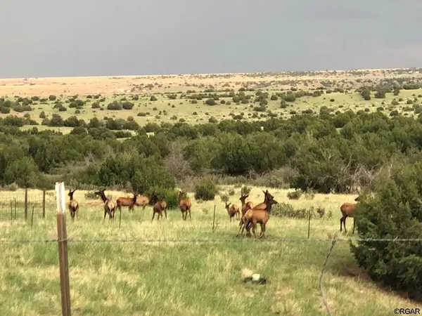 TBD L4 Newlin Ridge  RD, Florence, CO 81226