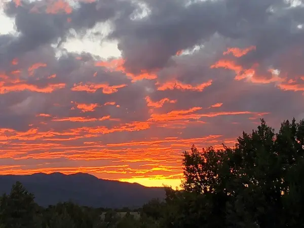 TBD L4 Newlin Ridge  RD, Florence, CO 81226