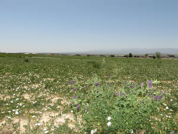 31 C Bar  TRL, Penrose, CO 81240