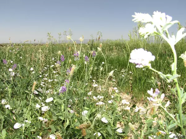 71 Top Rail  TRL, Penrose, CO 81240