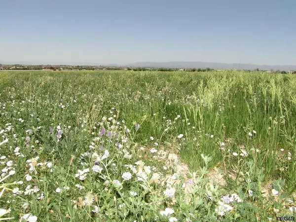 Penrose, CO 81240,71 Top Rail  TRL