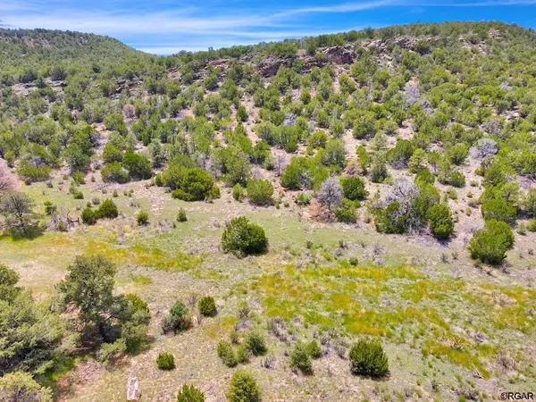 Penrose, CO 81240,0000 Rimrock  TER