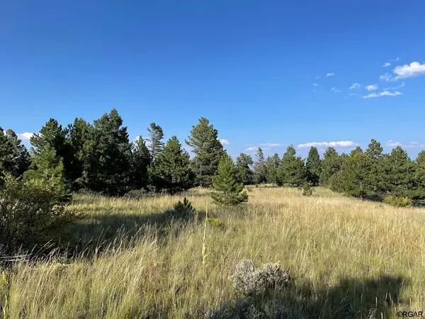 TBD Cimarron, Canon City, CO 81212