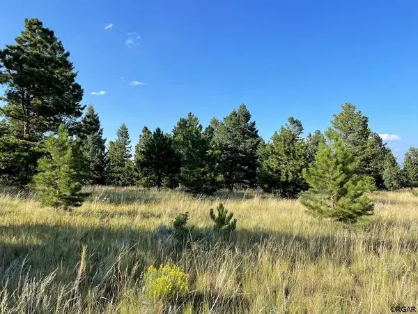 TBD Cimarron, Canon City, CO 81212