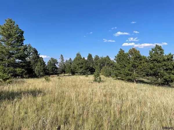 TBD Cimarron, Canon City, CO 81212