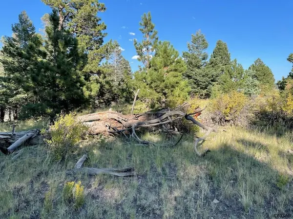 TBD Cimarron, Canon City, CO 81212