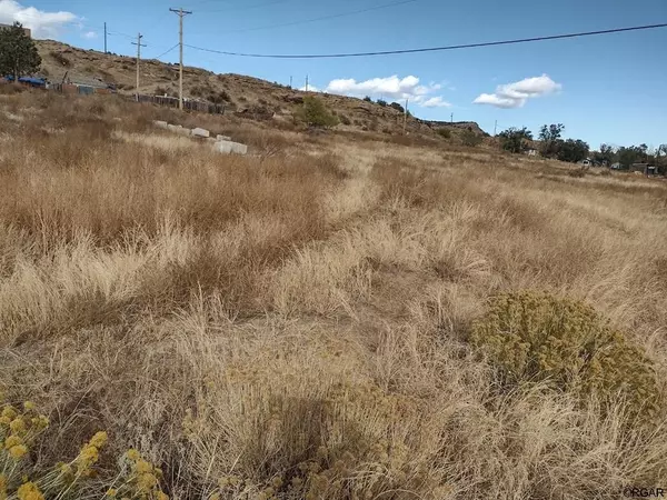 Williamsburg, CO 81226,5 Robbins  AVE