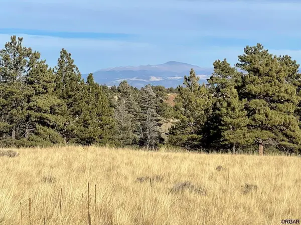 TBD L21 South T-Bar  TRL, Canon City, CO 81212