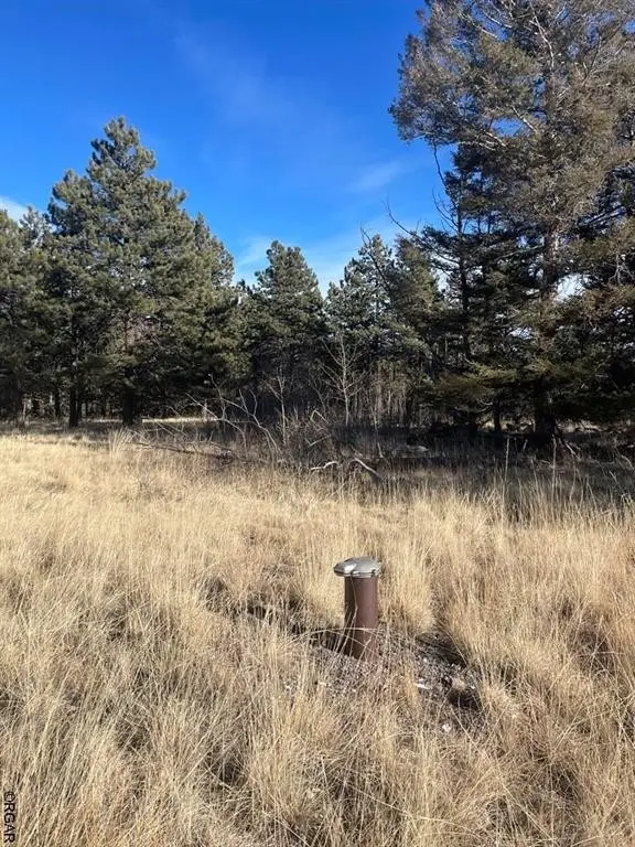 TBD L21 South T-Bar  TRL, Canon City, CO 81212