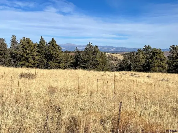 TBD L21 South T-Bar  TRL, Canon City, CO 81212