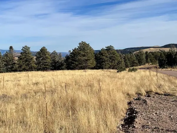 TBD L21 South T-Bar  TRL, Canon City, CO 81212