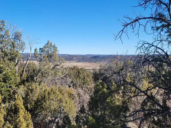 Penrose, CO 81240,TBD Point RD