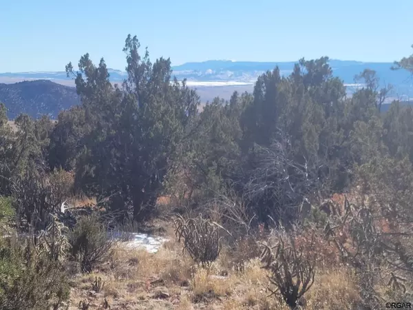 Penrose, CO 81240,TBD Point RD