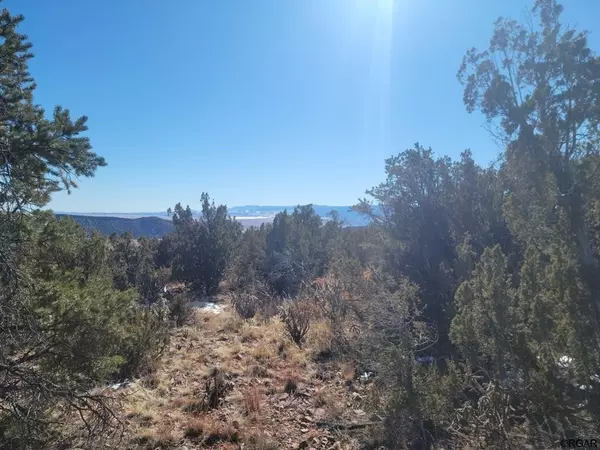 Penrose, CO 81240,TBD Point RD