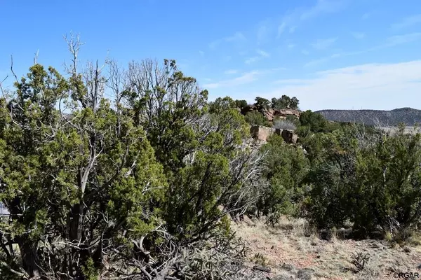 Penrose, CO 81240,1008 Dawn Ridge  TRL