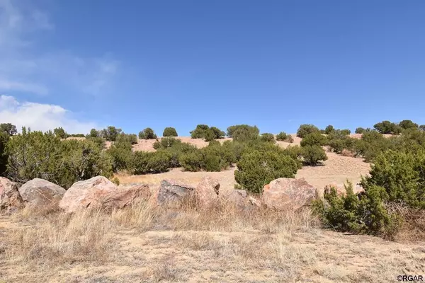 Penrose, CO 81240,TBD L 349 US Hwy