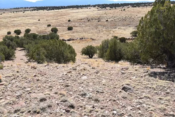 Penrose, CO 81240,TBD L 349 US Hwy