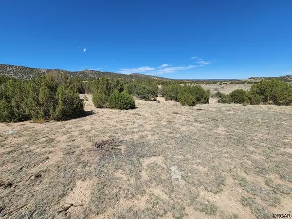 290 CR 132, Penrose, CO 81240