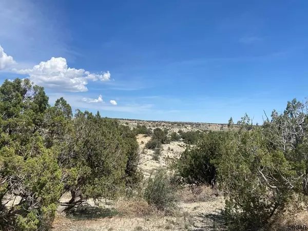 TBD V  ST, Penrose, CO 81240