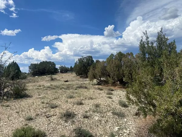 Penrose, CO 81240,TBD V  ST