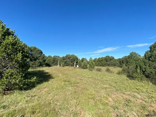 TBD L5 Deer Park  TRL, Canon City, CO 81212