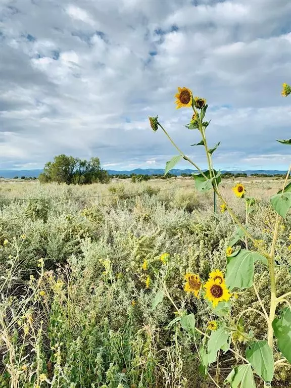 Penrose, CO 81240,1436 13th  ST