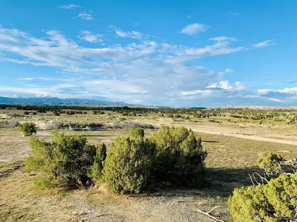 Penrose, CO 81240,1436 13th  ST