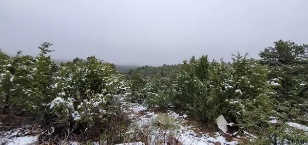 Penrose, CO 81240,TBD L1 L2 Wild Lyn  RD