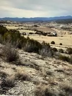 Penrose, CO 81240,475 P  ST