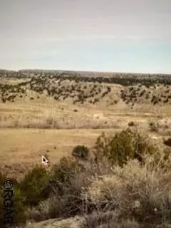 Penrose, CO 81240,475 P  ST