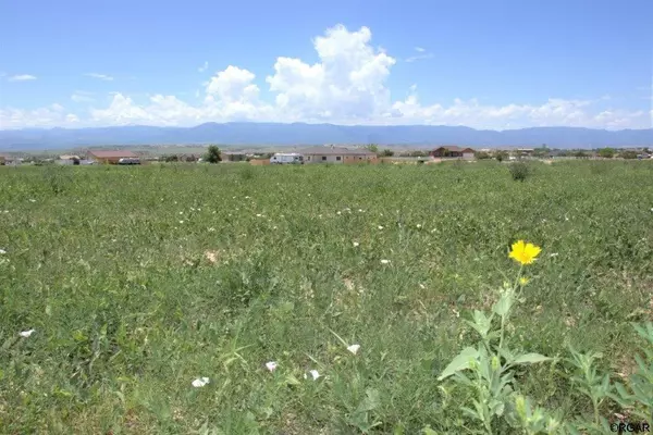 31 C Bar  TRL, Penrose, CO 81240