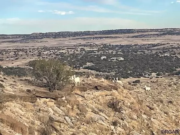 Penrose, CO 81240,TBD Beaver Creek Ranch  RD