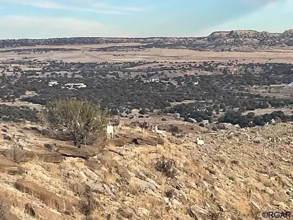 Penrose, CO 81240,TBD Beaver Creek Ranch  RD