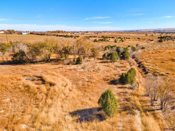 Penrose, CO 81240,TBD 11th  ST