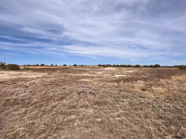 1096 P  ST, Penrose, CO 81240