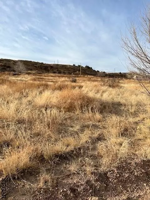 Williamsburg, CO 81226,TBD Robbins  ST