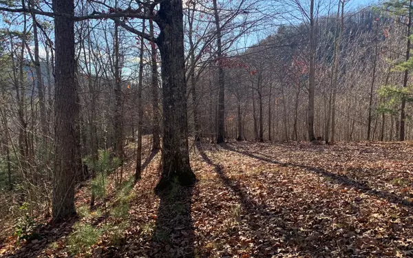 Brasstown, NC 28902,LOT25 Laurel Mountain Drive