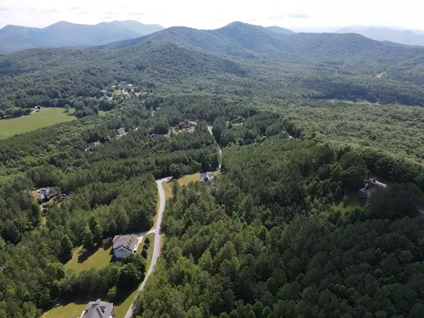 Blairsville, GA 30512,36 Loftis Mountain Way