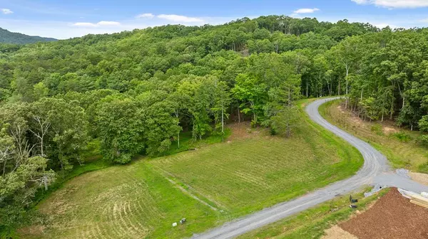 Lt 15&16 Bearden Farm Overlook, Blue Ridge, GA 30513