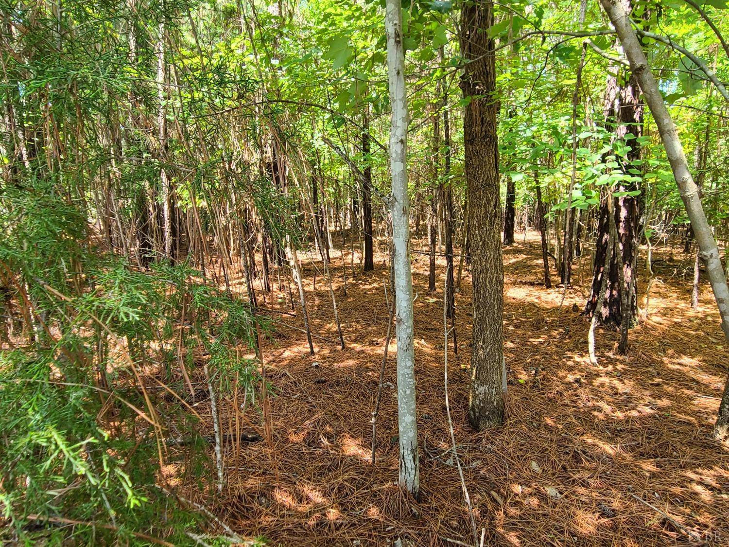 Lynch Station, VA 24571,0 Acres CT