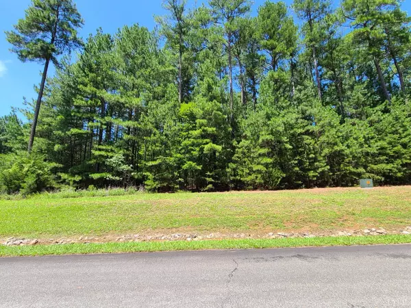 0 Acres CT, Lynch Station, VA 24571