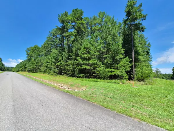 Lynch Station, VA 24571,0 Acres CT