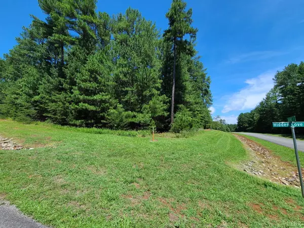 Lynch Station, VA 24571,0 Acres CT