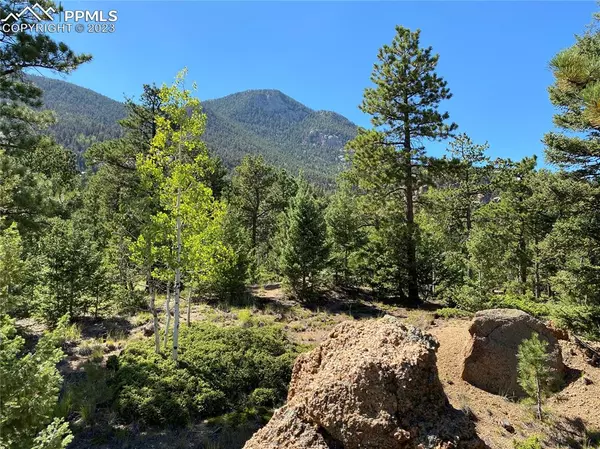 Manitou Springs, CO 80829,156 Big Bear RD